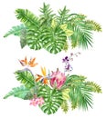 Bright tropical borders with jungle plants.