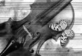 Bright tropical butterfly on the violin against the background of a sheet of music paper. black and white Royalty Free Stock Photo