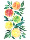 Bright tropical citrus orange lemon grapefruit pattern