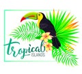 Tropical island composition with toucan leaves flowers Royalty Free Stock Photo