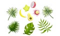 Bright Tropical Palm Leaves and Ripe Fruits, Dragon Fruit, Banana, Lychee, Avocado, Carambola Vector Illustration