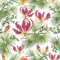 Bright tropical print. Summer colorful hawaiian seamless pattern with tropical plants and Gloriosa flowers, white background