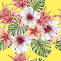 Bright tropical seamless pattern with flowers. Monstera. Hibiscus. Bromeliad. Plumeria. Watercolor illustration.