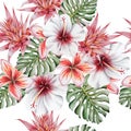 Bright tropical seamless pattern with flowers. Monstera. Hibiscus. Bromeliad. Plumeria. Watercolor illustration.