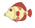 Bright tropical yellow fish with fins, tail and coral spots. Aquarium fish - vector full color sketch. Little cute fish.