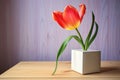 a bright tulip in a white pot next to a cardboard box on a wooden table