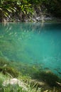 Bright turquoise still see through water with fish Blue hole Jamaica Negril