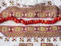 Ukrainian national embroidery and red coral beads