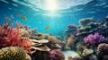 Bright underwater world. Coral reef. Fish and marine plants. Copy space. Royalty Free Stock Photo