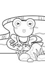 Frog Animal Amphibi Coloring pages A4 for Kids and Adult