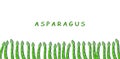 Bright vector banner of asparagus. Fresh cartoon vegetable, space for text. Royalty Free Stock Photo