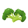 Bright vector collection of colorful broccoli isolated on white.