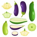 Bright vector illustration of colorful eggplant, zucchini, patisson