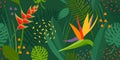 Bright vector seamless pattern with tropical flowers and leaves, plants. Garden of Eden, forest, jungle. Print for Royalty Free Stock Photo