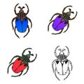 Bright vector set with colorful bugs. Drawing of beetles. Insect Royalty Free Stock Photo