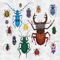 Bright vector set with colorful bugs.