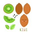 Bright vector set of colorful half, slice and whole of fresh kiwi Royalty Free Stock Photo