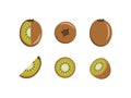 Bright vector set of colorful halves, slice and whole fresh kiwi. Fresh cartoon kiwi isolated Royalty Free Stock Photo