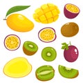 Vector set of colorful kiwi, mango, passionfruit isolated on white Royalty Free Stock Photo