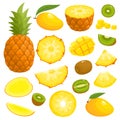 Bright vector set of pineapple, mango, kiwi isolated on white Royalty Free Stock Photo