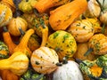 Bright vegetables in a wooden basket. zucchini Royalty Free Stock Photo