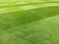 Bright vibrant green lawn stripes on closely mowed grass