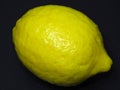 Bright vivid yellow ripe lemon on black background. Tropical fruit full of vitamin C.