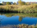 Bright and warm December day. Lake in the city park. Reflection on the water