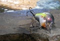 Bright water behind an artificial fishing bait Royalty Free Stock Photo