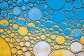 Bright water oil bubble abstract background.