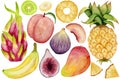 Watercolor fruits collection. Mango, kiwi, banana, peach, fig, pineapple, dragon fruit isolated on a white background