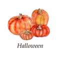 Bright watercolor halloween illustration with thematic elements Royalty Free Stock Photo