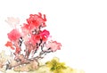 Bright Watercolor Illustration of Sakura Blossom. Japanese Red Cherry Tree Royalty Free Stock Photo