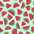 Bright watermelon seamless pattern vector