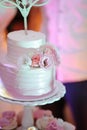 Bright wedding cake, with Mr Ms cake