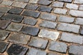 Bright wet stones of the sidewalk after the rain Royalty Free Stock Photo