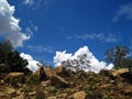 BRIGHT WHITE CLOUD BEHIND VEGETATION ON A ROCKY HILL Royalty Free Stock Photo