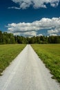 White dirt road leading in to the green forest in bright sunshine