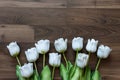 Fake tulips and on wood background. Royalty Free Stock Photo