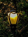 Bright white light illuminating on lamp pole.