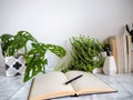 Bright white office interior with multiple plants and stationery products creating a relaxing work environment