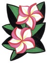 Large stylized geometric pink tropical flowers on black and green leaves