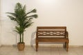 Natural wood garden bench next to a decorative palm tree with white wall background