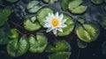 Bright white waterlily lotus flower in full bloom surrounded by green lily pads - generative ai