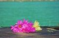 Bright Wilting Flowers on Rustic Table Royalty Free Stock Photo