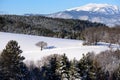 Winter landscape scene of a snow field with trees, forest and a view towards a mountain Schneeberg,Austria Royalty Free Stock Photo