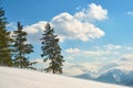 Bright winter landscape with pine tree branches covered with fresh fallen snow in mountain forest on cold wintry day Royalty Free Stock Photo