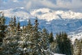 Bright winter landscape with pine tree branches covered with fresh fallen snow in mountain forest on cold wintry day Royalty Free Stock Photo