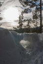 Bright winter sun on the background of snowdrifts and pine branches. Royalty Free Stock Photo