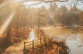 A bright winter sun bursts through the trees onto the path by the misty morning woodland lake Royalty Free Stock Photo